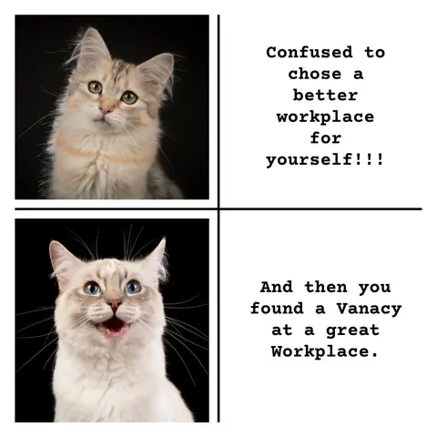 Two-panel cat meme: a puzzled cat beside text about choosing a workplace, then a delighted cat beside news of a vacancy.
